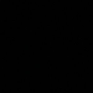 Meet your Posher, Troy